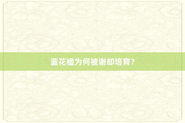 蓝花楹为何被谢却培育？