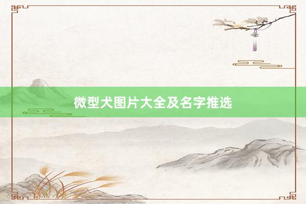 微型犬图片大全及名字推选