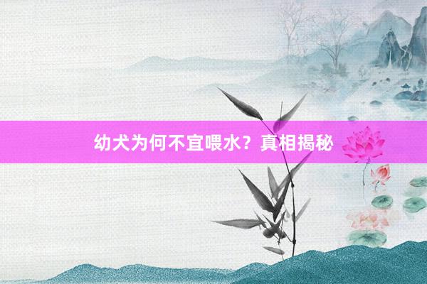 幼犬为何不宜喂水？真相揭秘