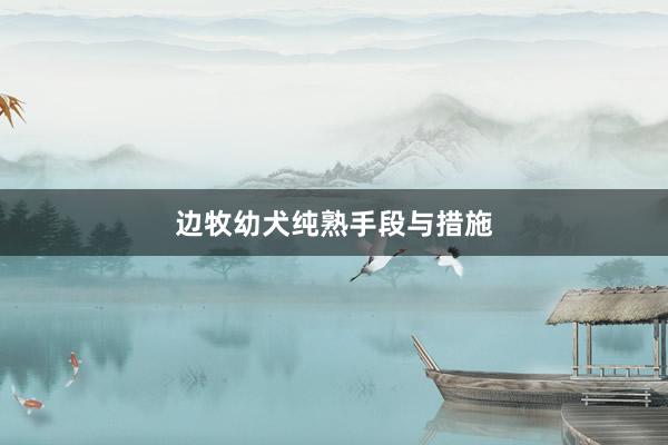 边牧幼犬纯熟手段与措施